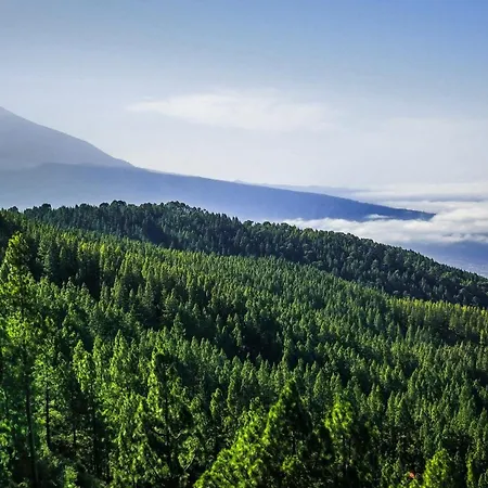 85, Boutique Privada Con Piscina 別荘