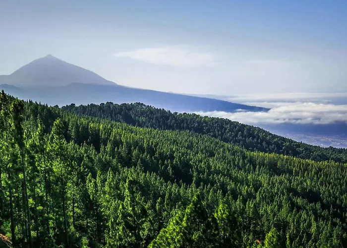 85, Boutique Privada Con Piscina Dom wakacyjny