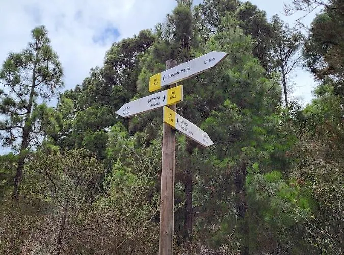 85, Boutique Privada Con Piscina Сasa de vacaciones Icod De Los Vinos