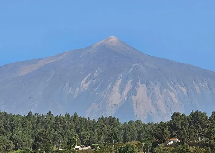85, Boutique Privada Con Piscina Tatil Evi Icod De Los Vinos